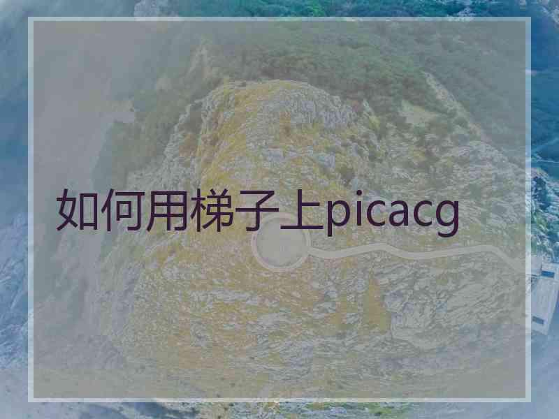 如何用梯子上picacg