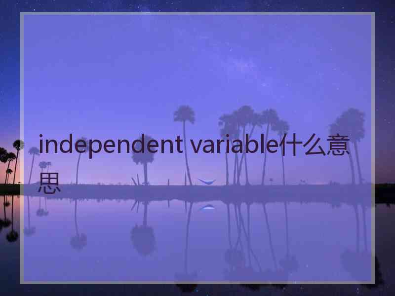 independent variable什么意思