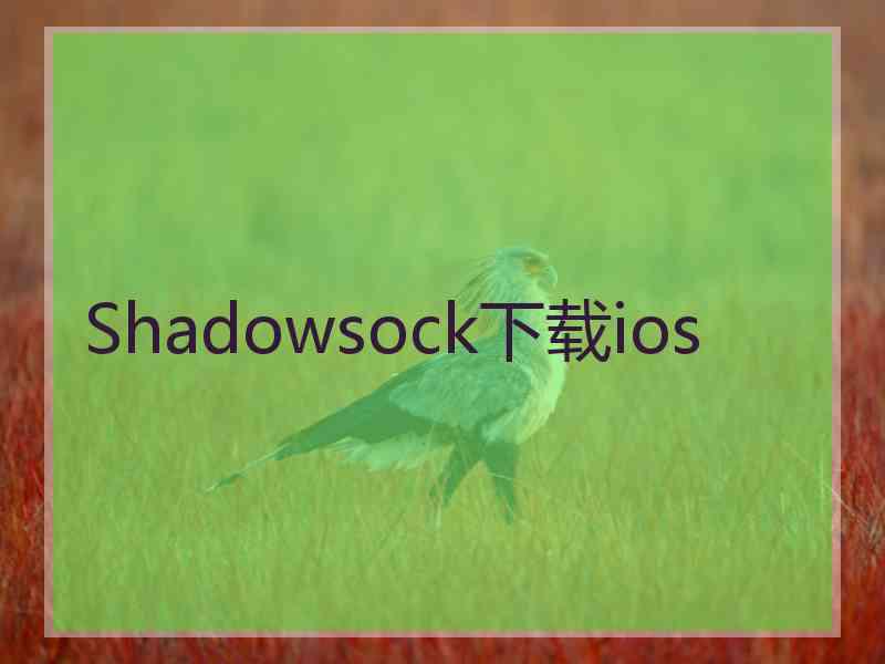 Shadowsock下载ios