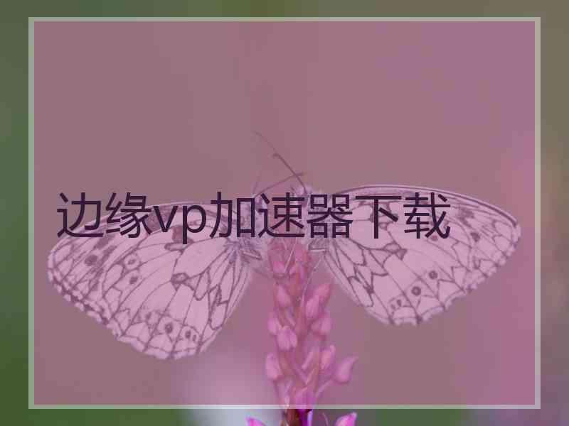 边缘vp加速器下载