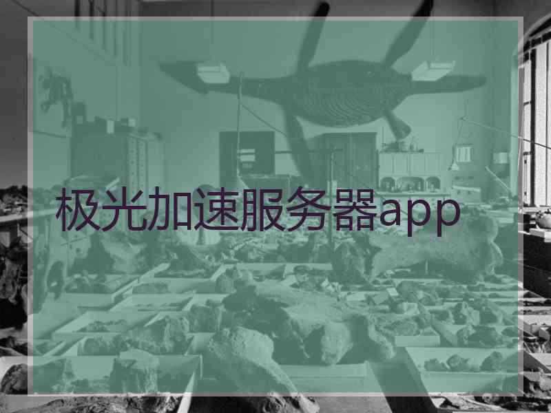 极光加速服务器app