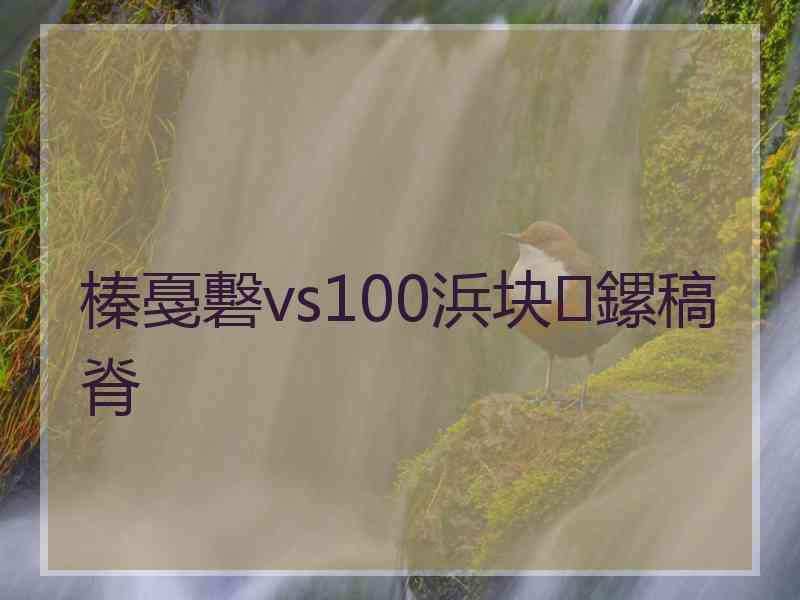 榛戞礊vs100浜块鏍稿脊