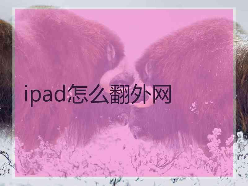 ipad怎么翻外网