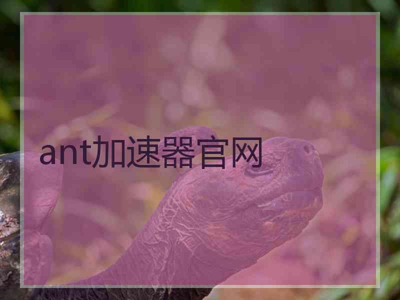 ant加速器官网