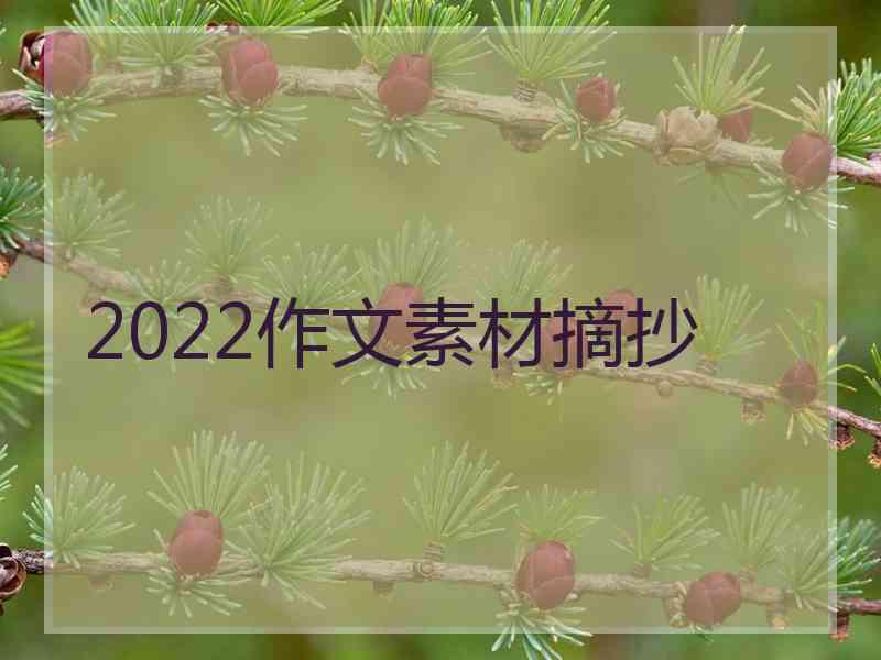 2022作文素材摘抄