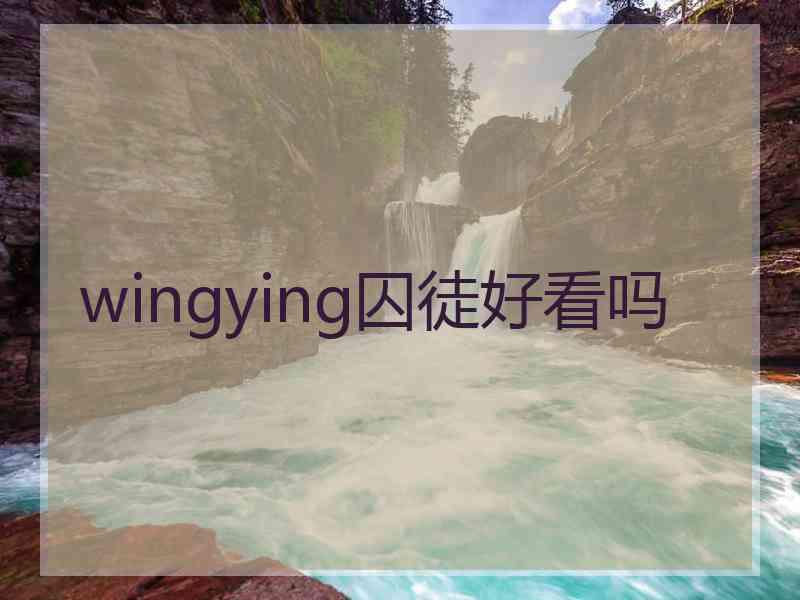 wingying囚徒好看吗