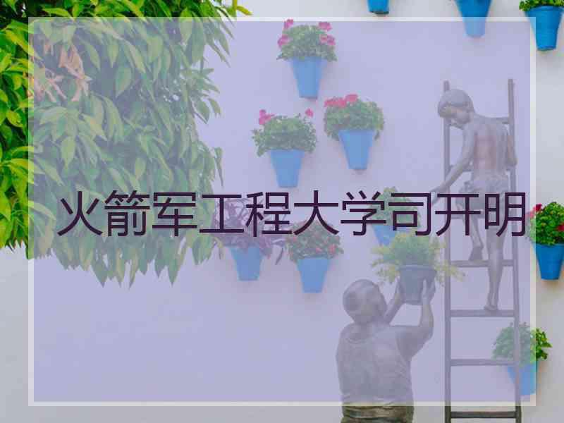 火箭军工程大学司开明