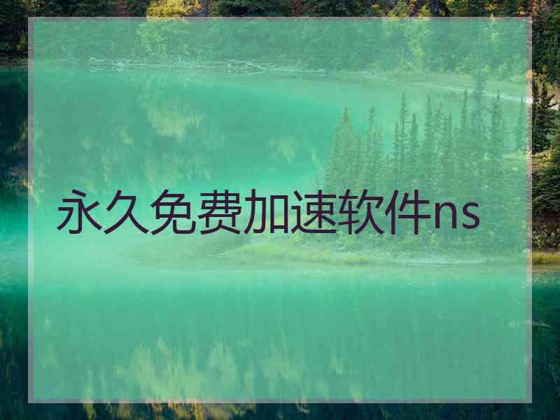 永久免费加速软件ns