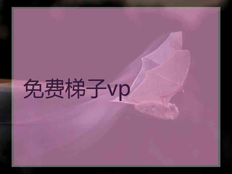 免费梯子vp