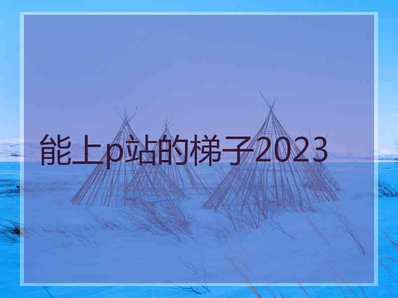 能上p站的梯子2023