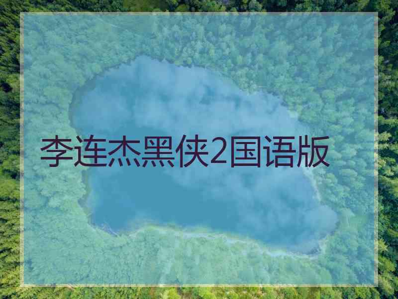 李连杰黑侠2国语版