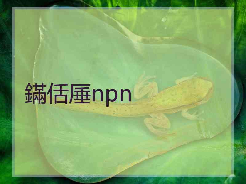 鏋佸厜npn