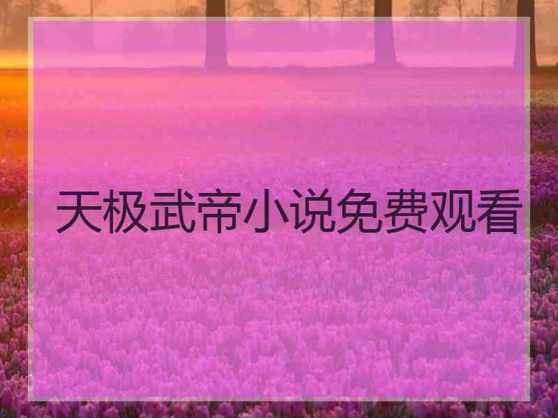 天极武帝小说免费观看