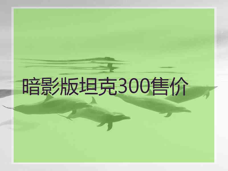 暗影版坦克300售价