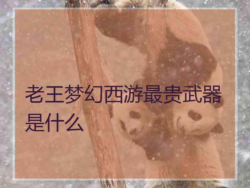 老王梦幻西游最贵武器是什么