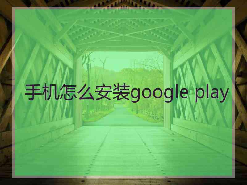 手机怎么安装google play