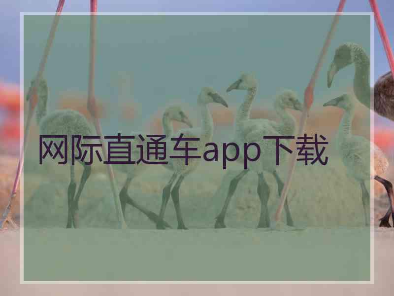 网际直通车app下载