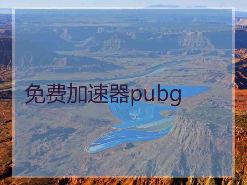 免费加速器pubg