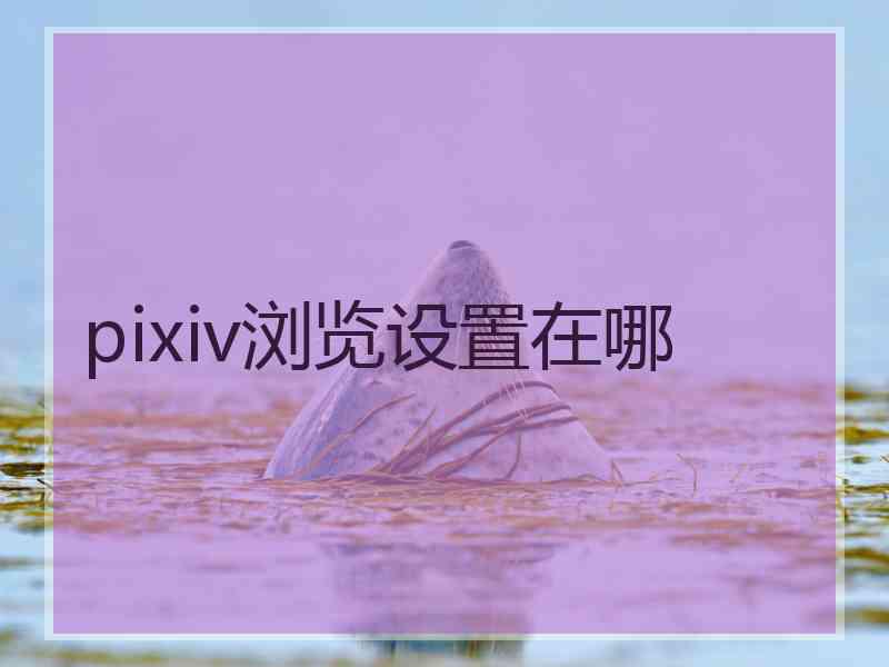 pixiv浏览设置在哪