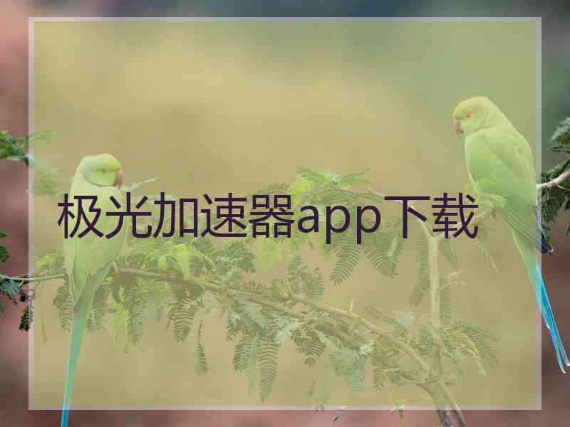 极光加速器app下载