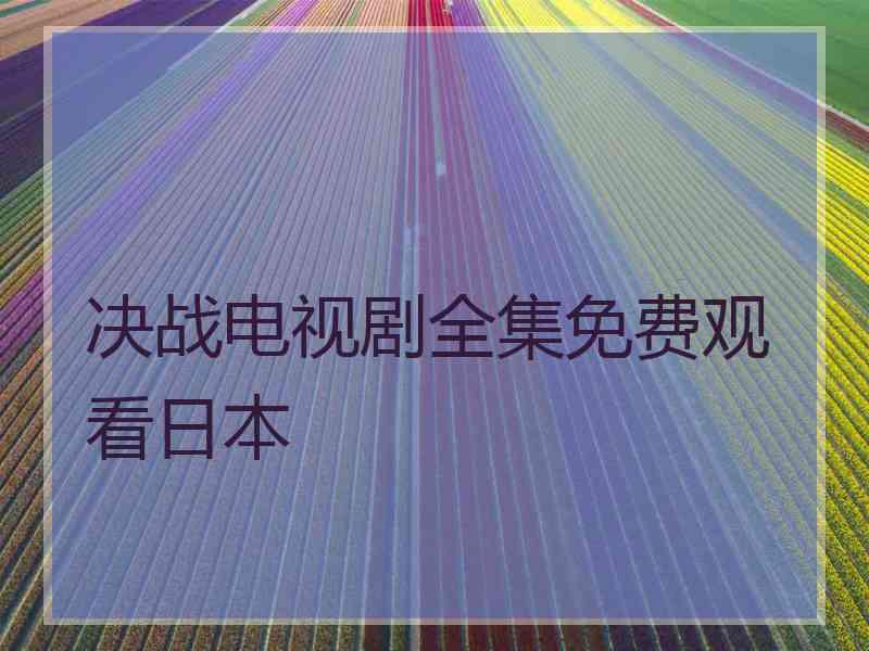 决战电视剧全集免费观看日本