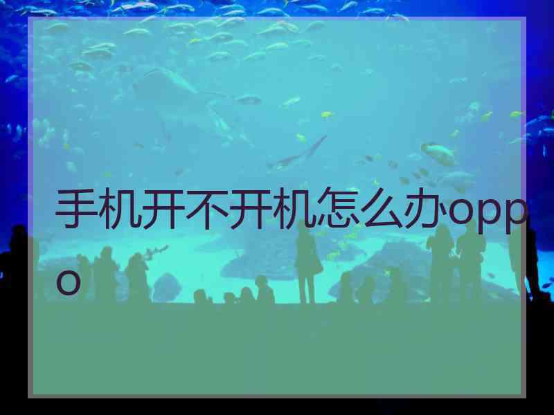 手机开不开机怎么办oppo