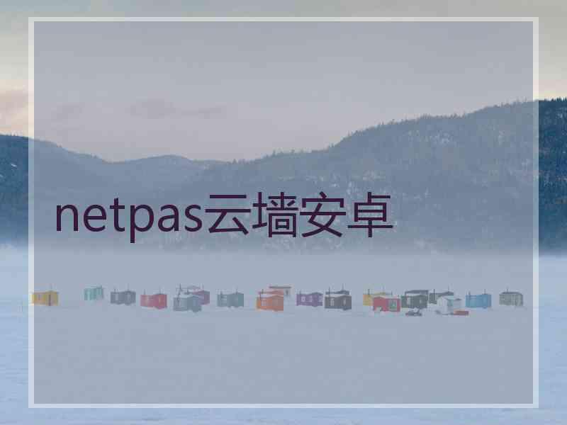 netpas云墙安卓