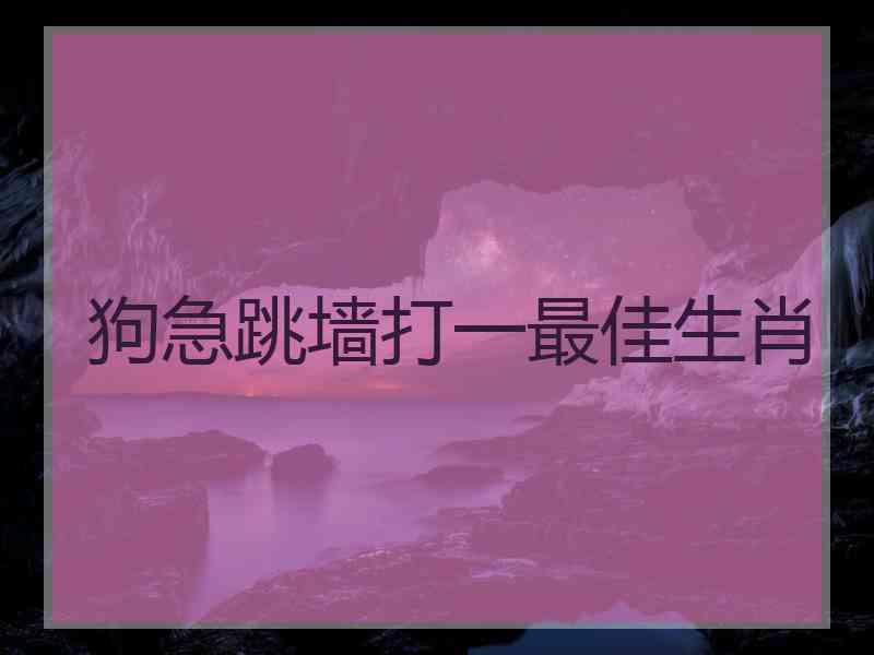 狗急跳墙打一最佳生肖