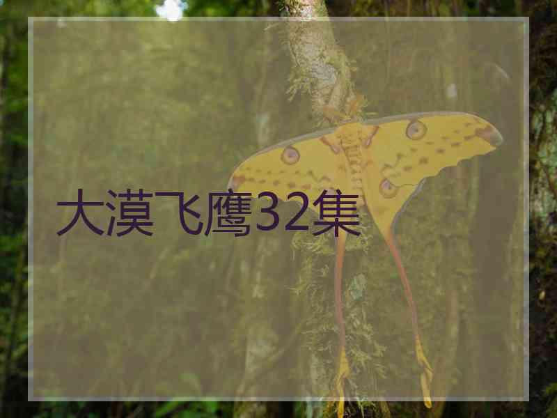 大漠飞鹰32集