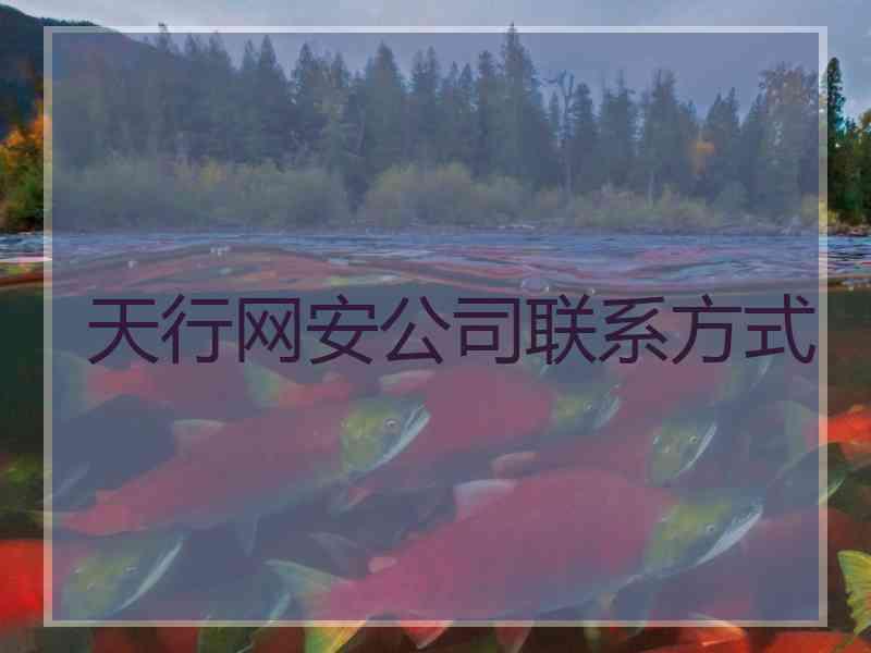 天行网安公司联系方式