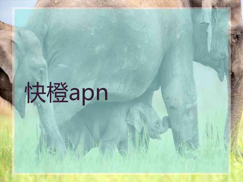 快橙apn