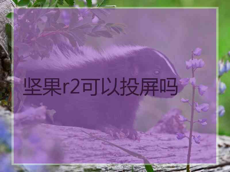 坚果r2可以投屏吗