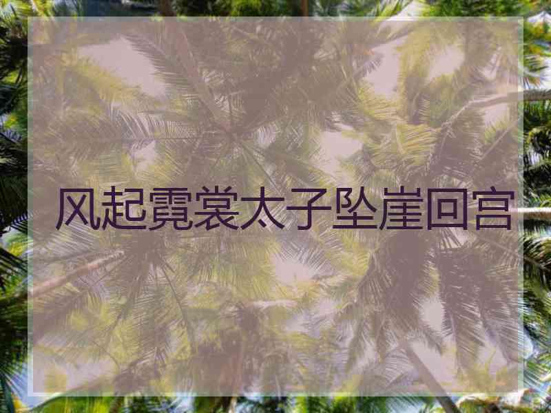 风起霓裳太子坠崖回宫