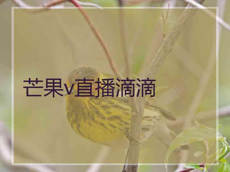 芒果v直播滴滴