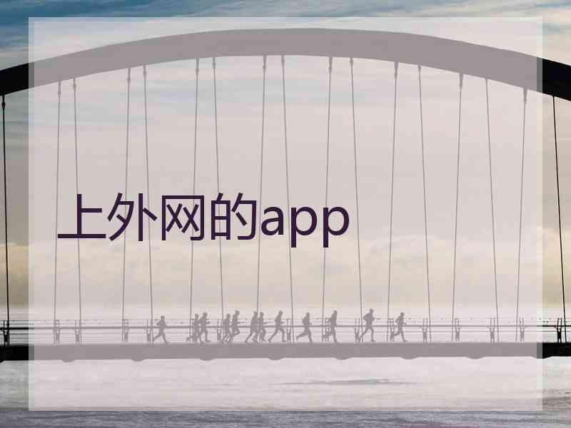 上外网的app