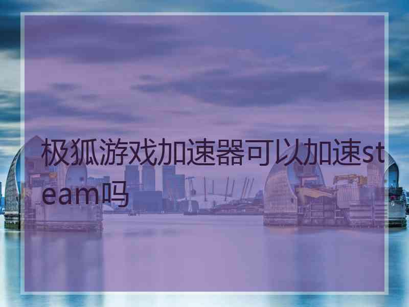 极狐游戏加速器可以加速steam吗