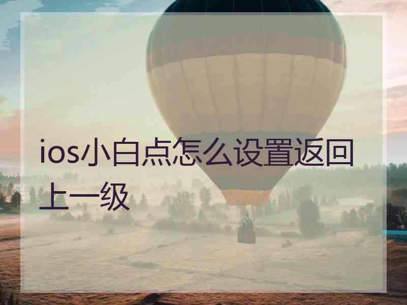 ios小白点怎么设置返回上一级