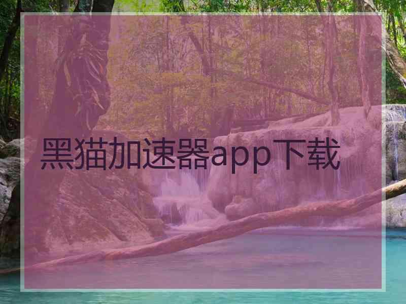 黑猫加速器app下载