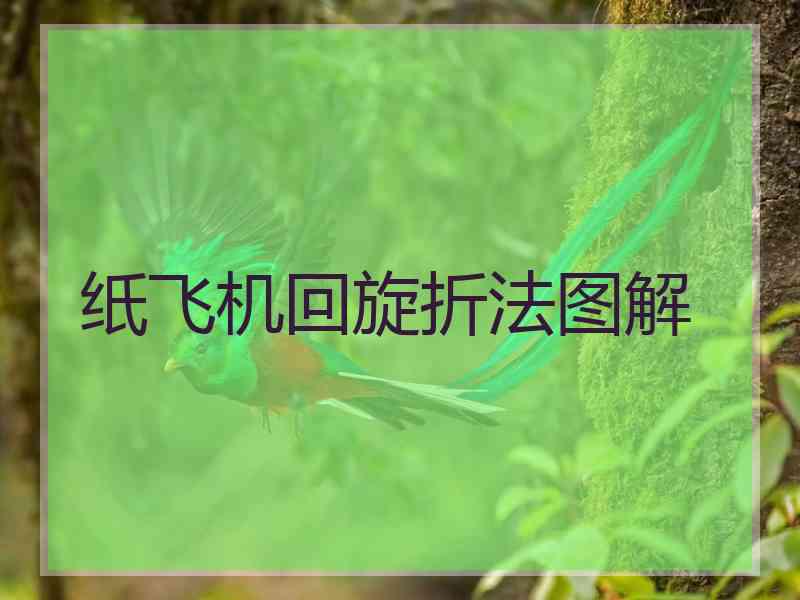 纸飞机回旋折法图解