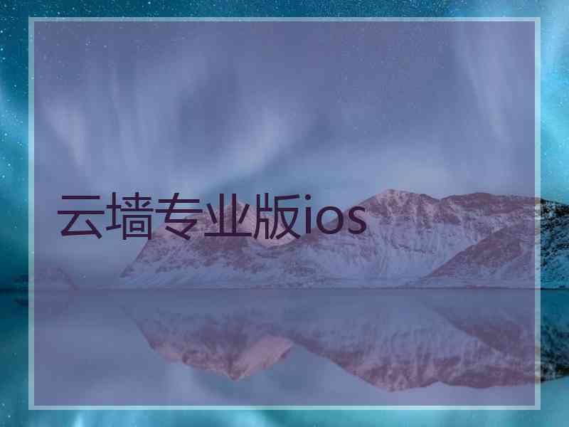 云墙专业版ios