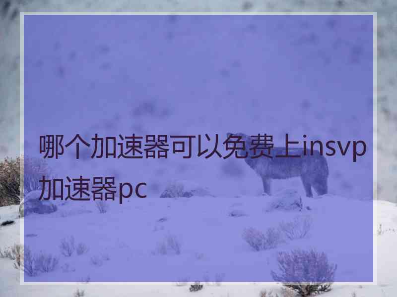 哪个加速器可以免费上insvp加速器pc