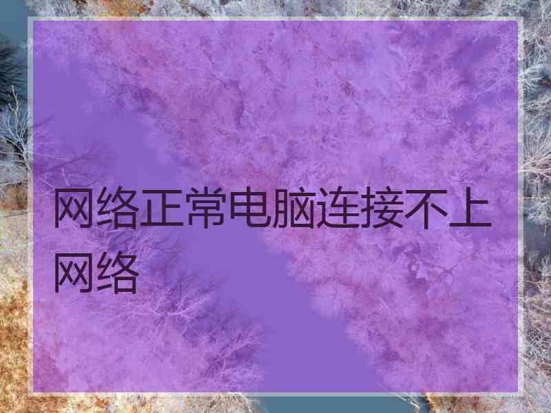 网络正常电脑连接不上网络