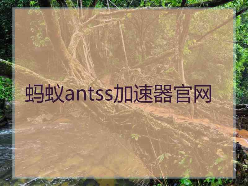 蚂蚁antss加速器官网