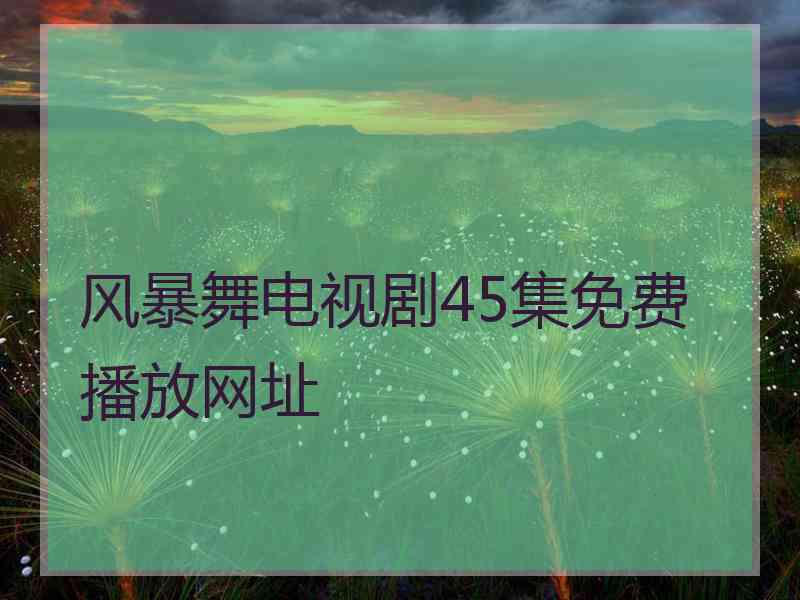 风暴舞电视剧45集免费播放网址