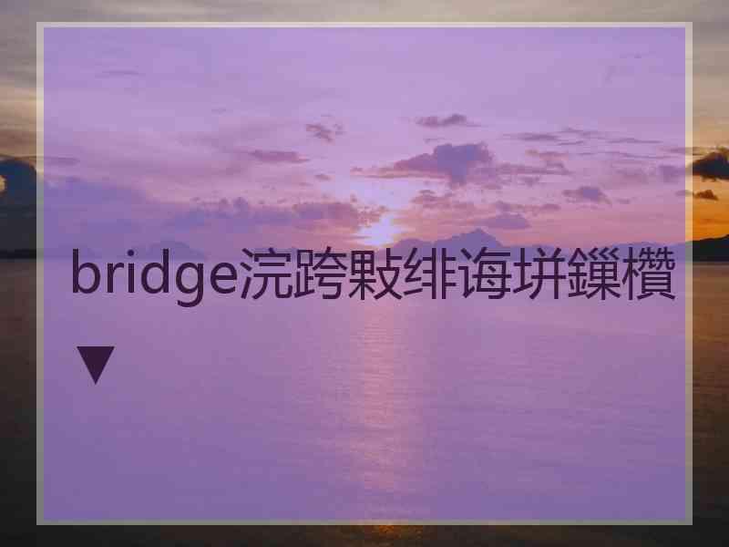 bridge浣跨敤绯诲垪鏁欑▼