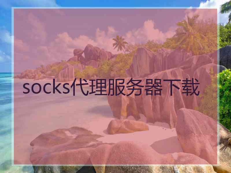 socks代理服务器下载