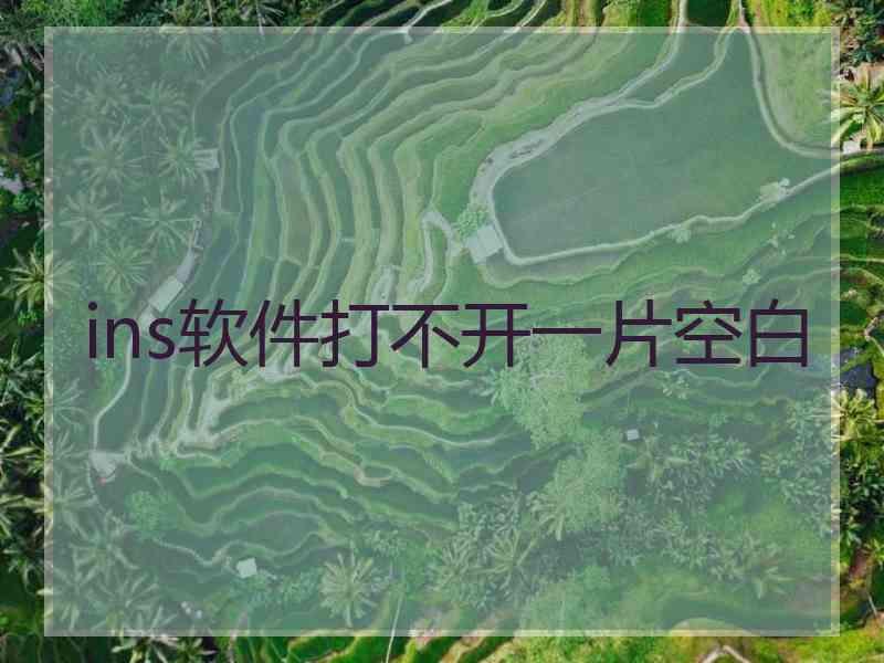 ins软件打不开一片空白