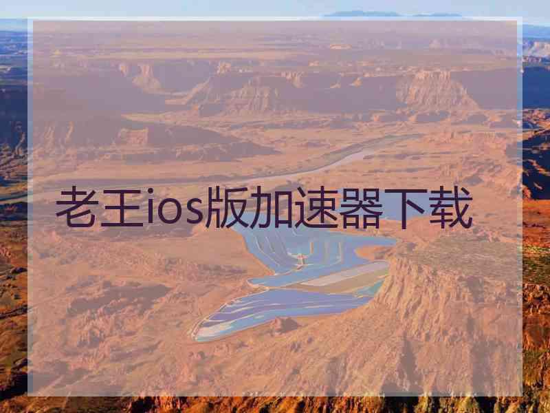 老王ios版加速器下载