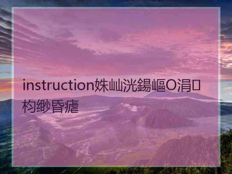 instruction姝屾洸鍚嶇О涓枃缈昏瘧