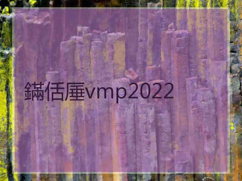 鏋佸厜vmp2022